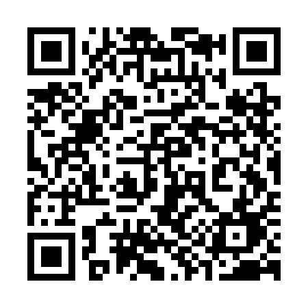 QR code for 393CAD