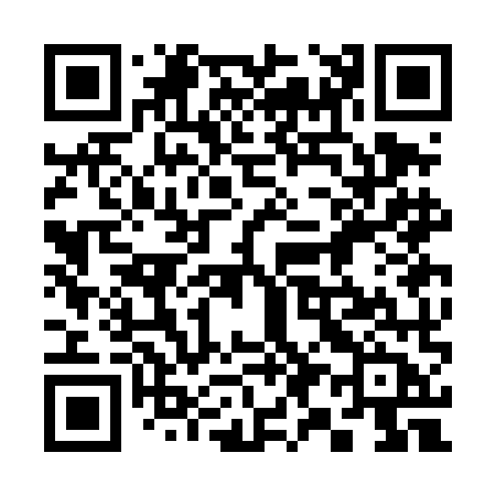 QR code for 393DMB