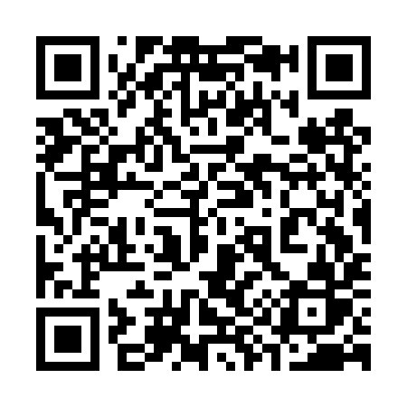 QR code for 393DYR