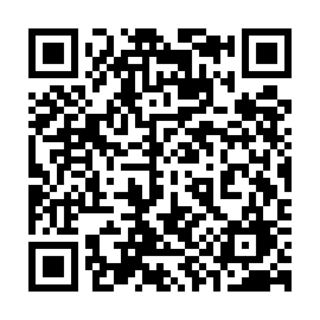 QR code for 393ECG
