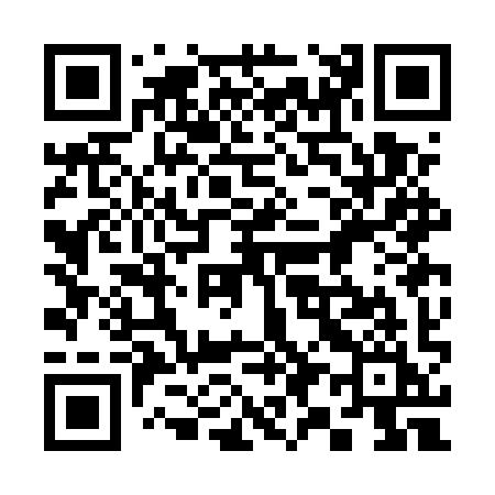 QR code for 393EYI