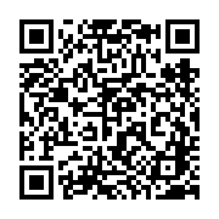 QR code for 393FDC
