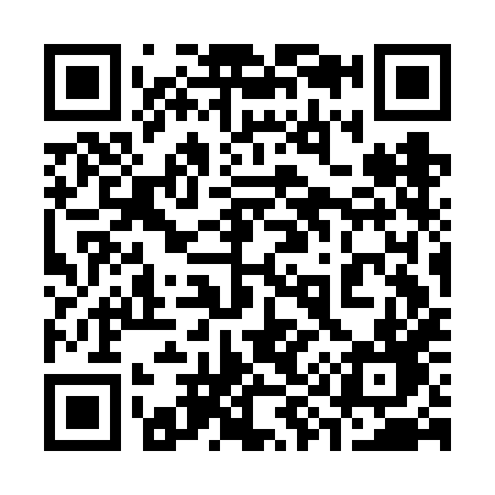 QR code for 393FHD