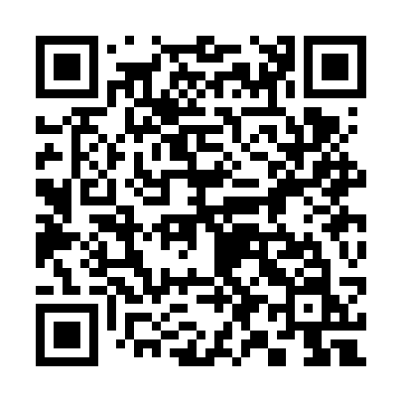 QR code for 393FSN
