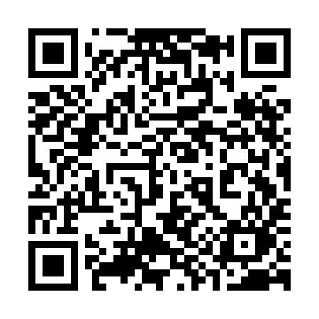 QR code for 393HIO