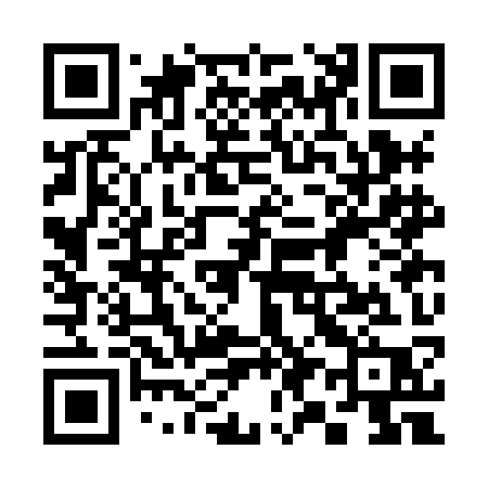 QR code for 393HKP