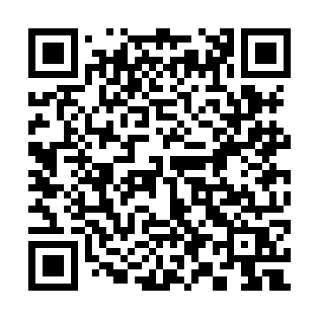 QR code for 393HOR