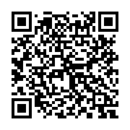 QR code for 393HRB