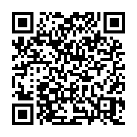 QR code for 393IDR