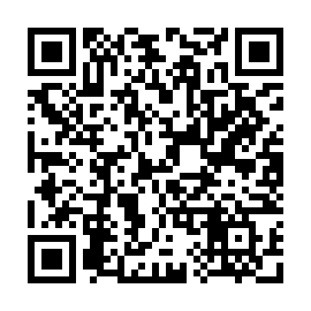 QR code for 393INW