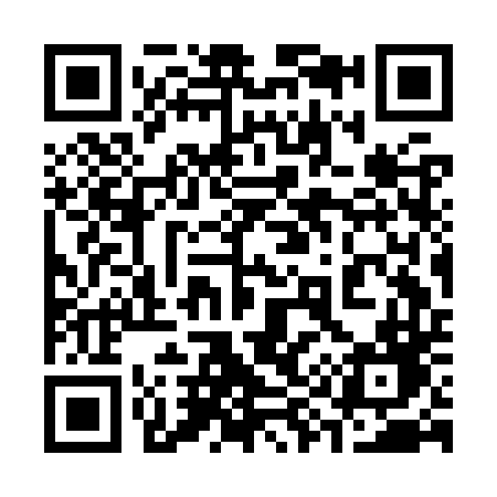 QR code for 393KTD