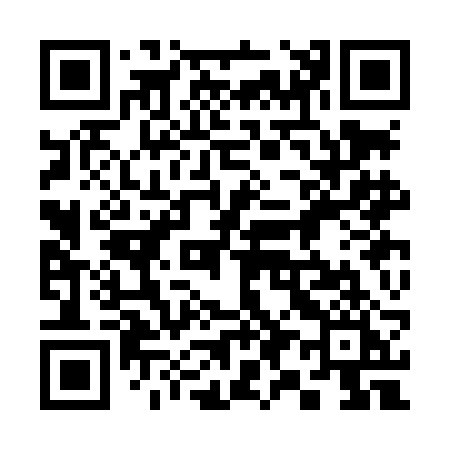 QR code for 393LBI
