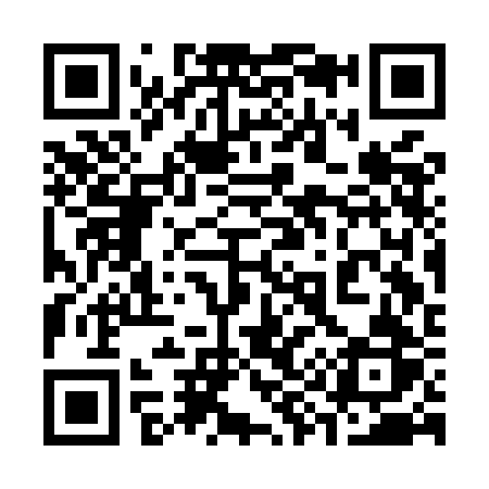QR code for 393MBR