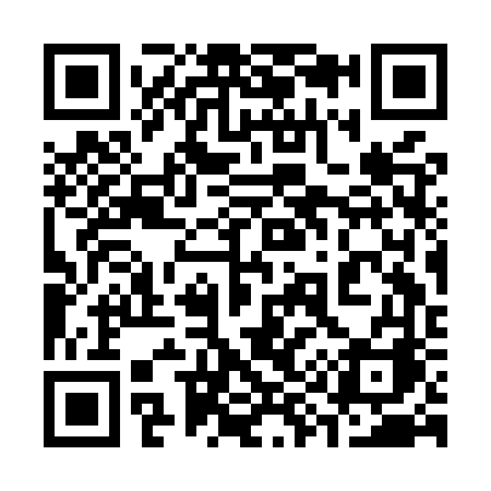QR code for 393MVA