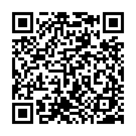 QR code for 393ONH