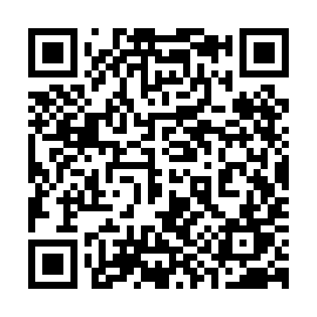 QR code for 393PIT