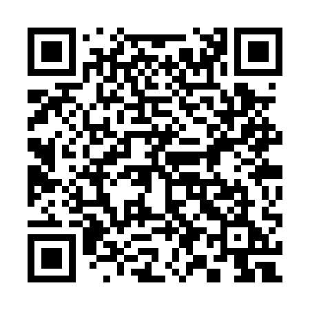 QR code for 393PQE