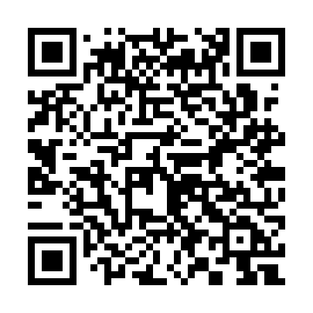 QR code for 393QND