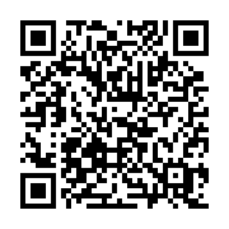QR code for 393RCG