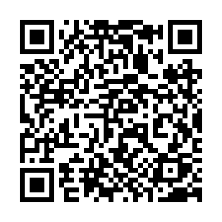 QR code for 393RSP