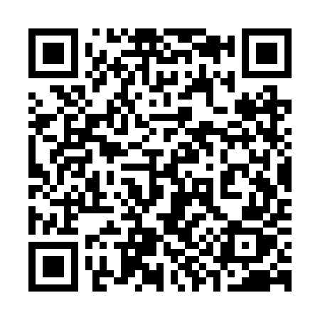 QR code for 393RUZ