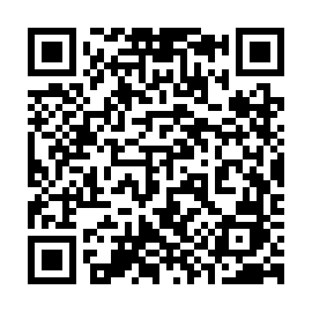 QR code for 393SFJ