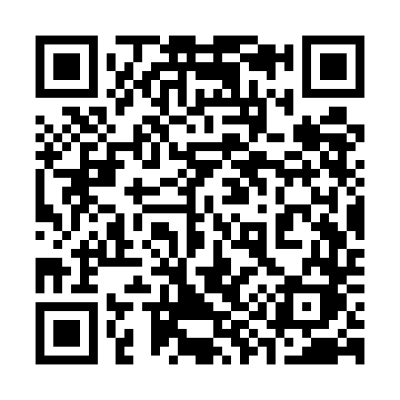 QR code for 393UDK