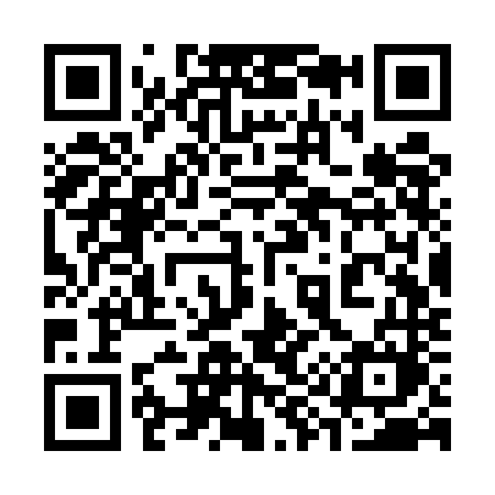 QR code for 393UNM