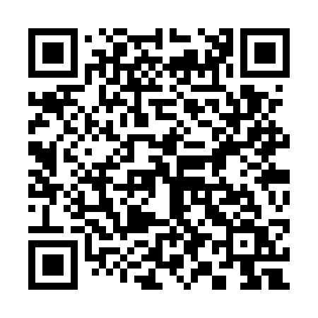 QR code for 393USV