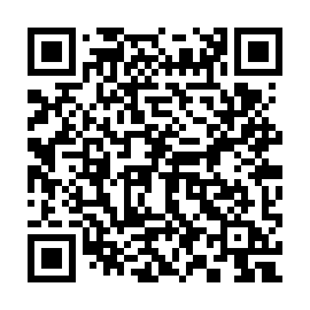 QR code for 393VYA