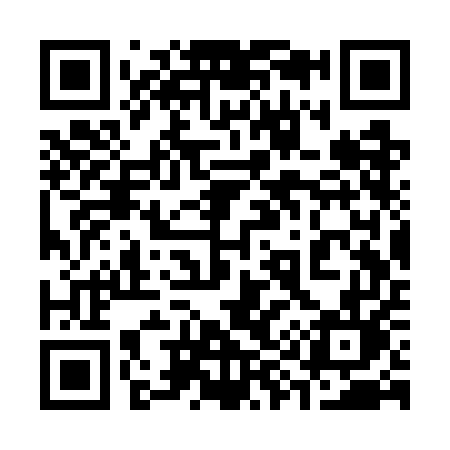 QR code for 393WEL