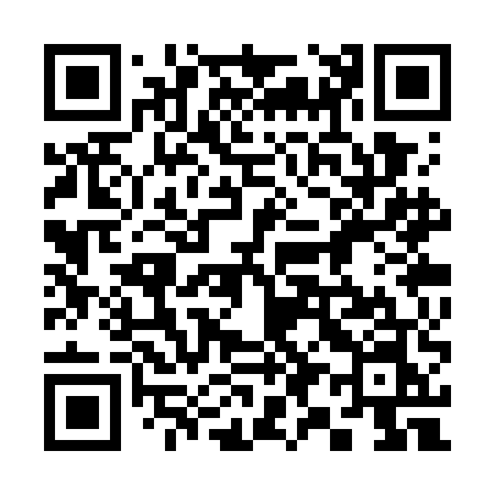 QR code for 393WEN