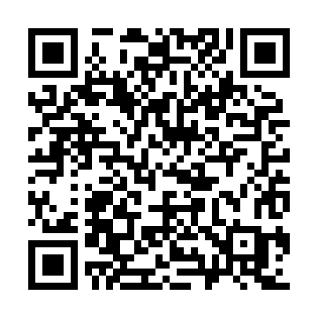 QR code for 393XHC