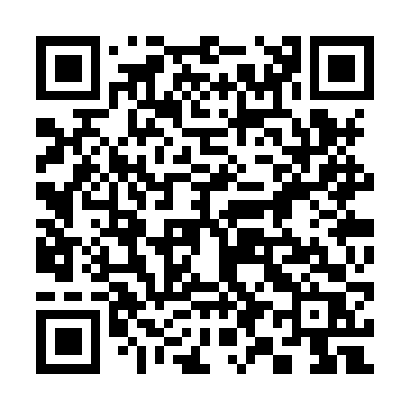 QR code for 393XVR