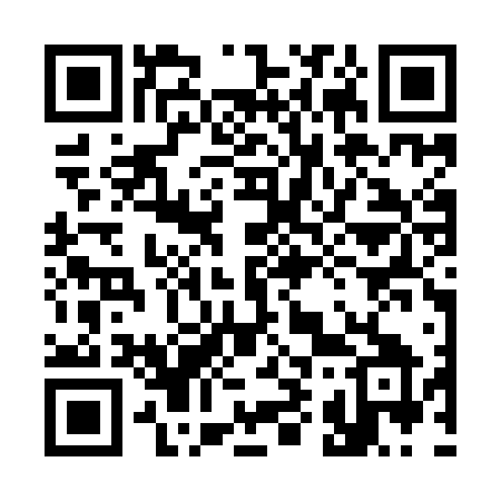 QR code for 393YFY