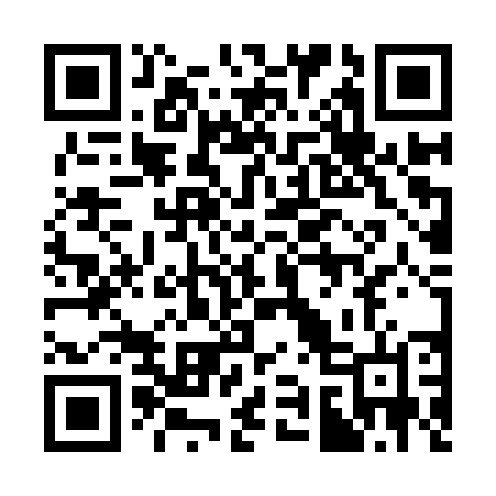 QR code for 393YUN