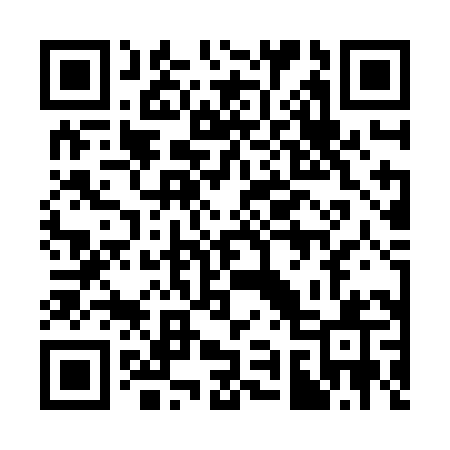 QR code for 393ZHQ