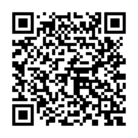 QR code for 393ZXH