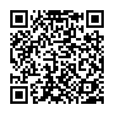 QR code for 394CSI