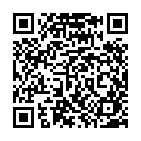 QR code for 394XIN