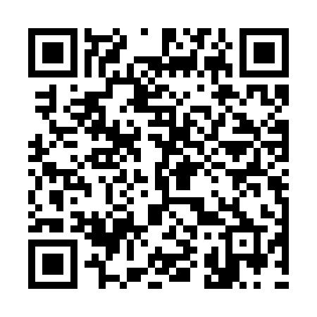 QR code for 395CIP