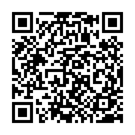 QR code for 395PTP