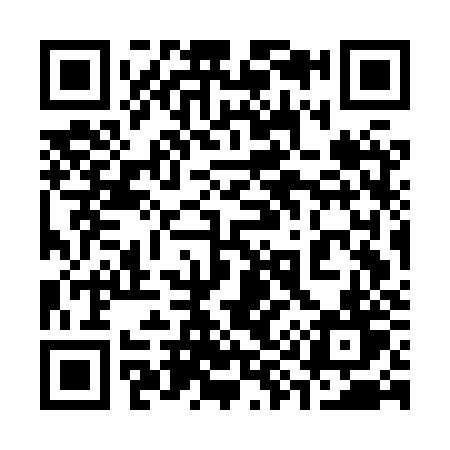 QR code for 397HZT