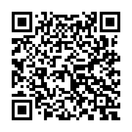 QR code for 397IDC