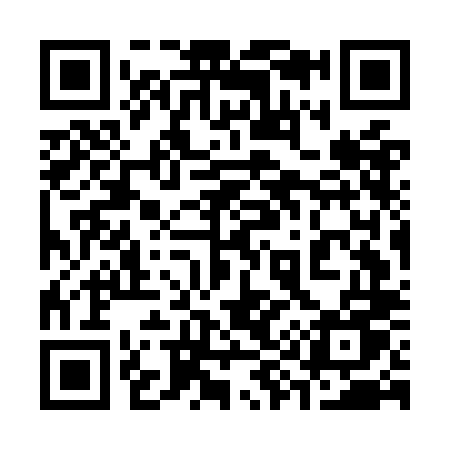 QR code for 397OLU