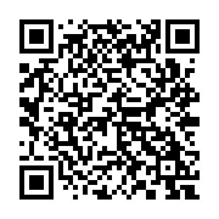 QR code for 398QRO
