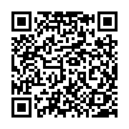 QR code for 398SYX