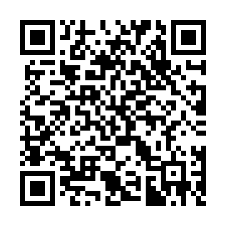 QR code for 399ZLD