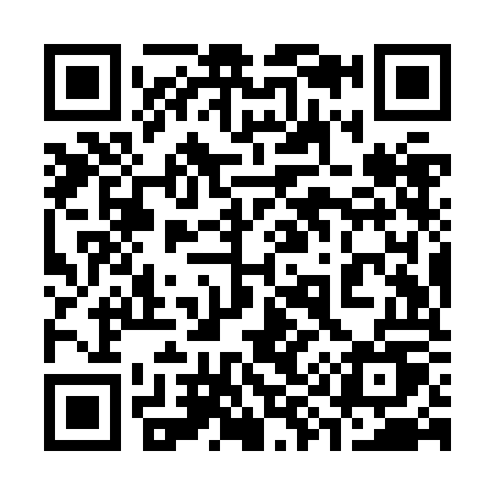 QR code for 399ZOU