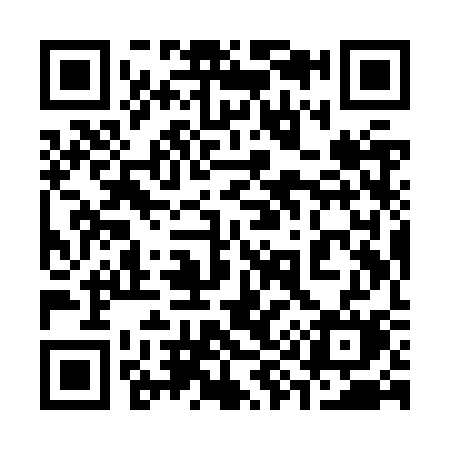 QR code for 399ZSM